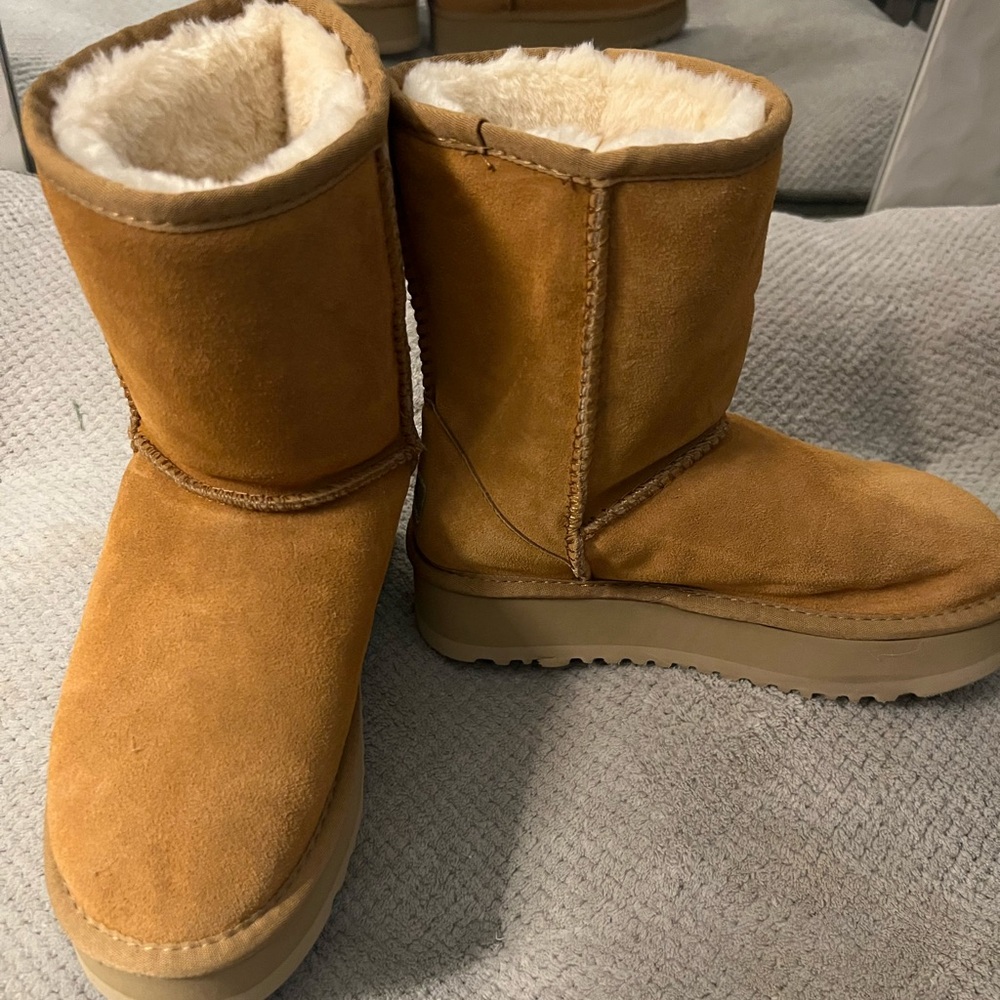 Women’s PLATFORM UGG - didn’t fit me. Brand new, never worn